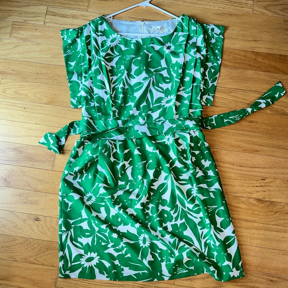 Eliza J dress